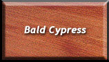 Bald Cypress