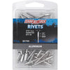 Channellock 3/16 In. Dia. x 1/4 In. Grip Aluminum Multigrip POP Rivet (50-Pack)